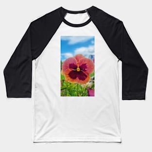 Beautiful Viola Flower Baseball T-Shirt